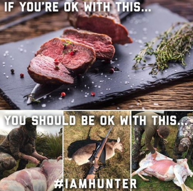 Eating meat and hunting