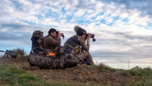 Hunting in NZ