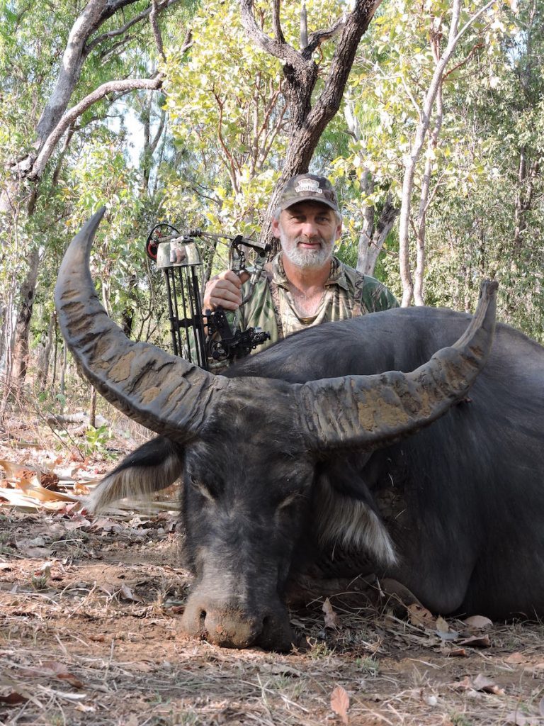 Bowhunting buffalo in Australia 