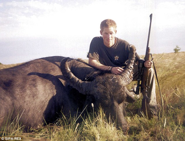 Prince Harry hunts water buffalo