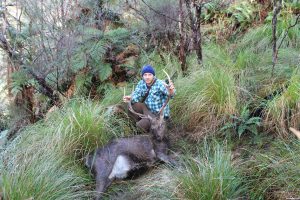 Hunting sika in New Zealand with Brad Berry