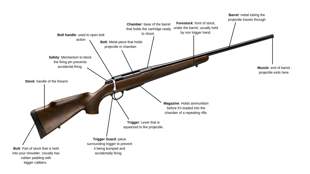 Parts of a bolt action rifle used for hunting 
