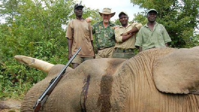 Robert Borsak from SFFP with elephant he shot in Africa 
