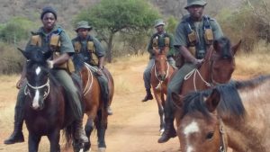 Light horse troop to assist anti-poaching unit protect endangered wildlife