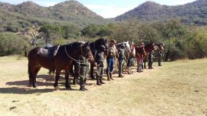 Two volunteers from the Australian Light Horse Troop will train the anti-poaching unit to protect endangered wildlife