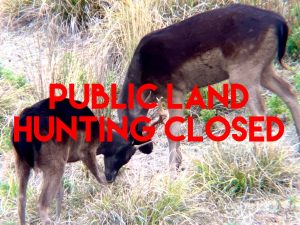 Public land hunting closed