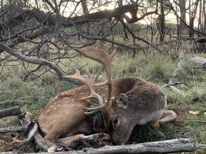 social distancing for hunters