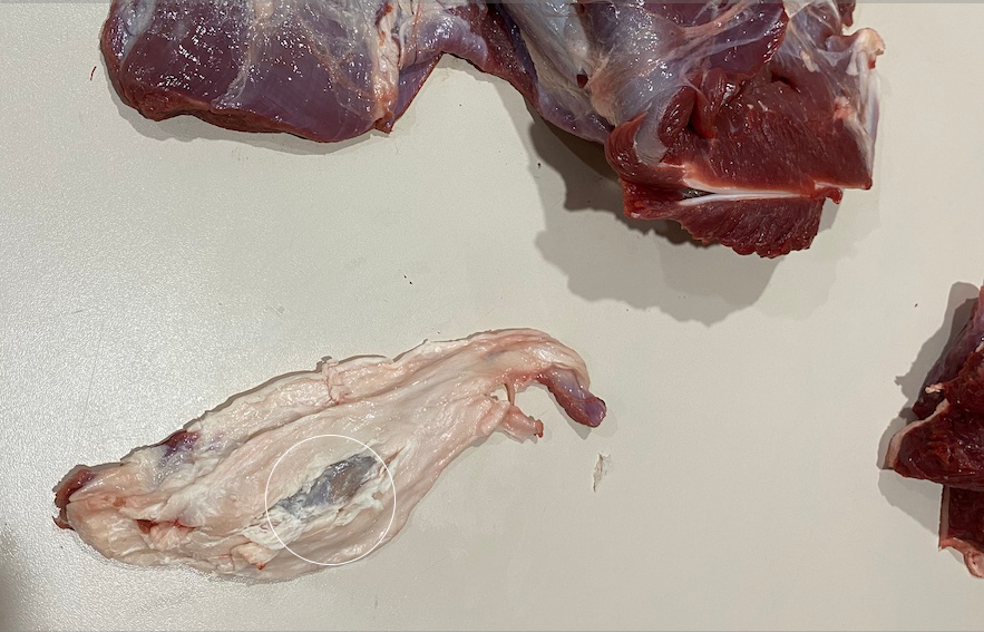Deer glands in meat